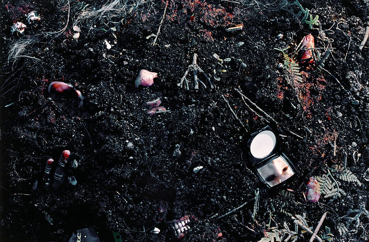 disasters cindy sherman