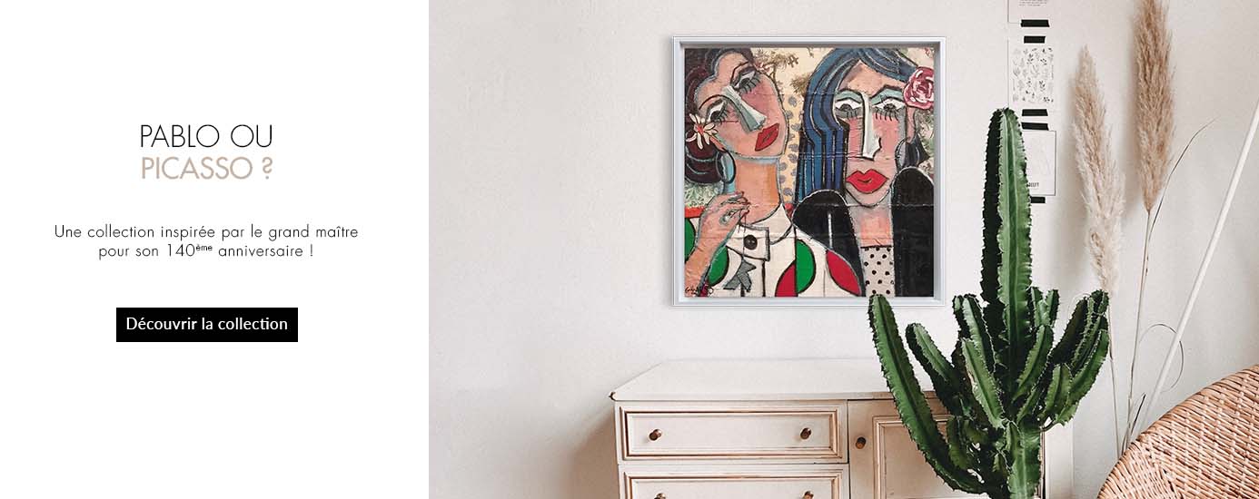 collection inspiration picasso