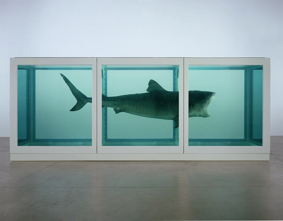 Les thèmes troublants de Damien Hirst
